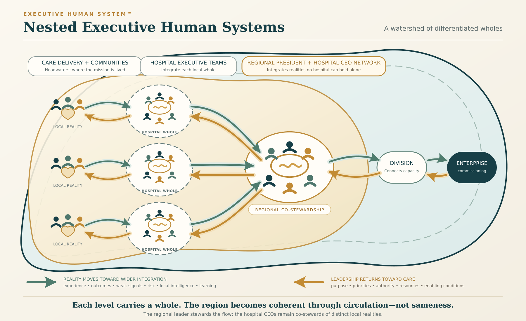 Nested executive human systems across enterprise, region, hospital, and organizational teams