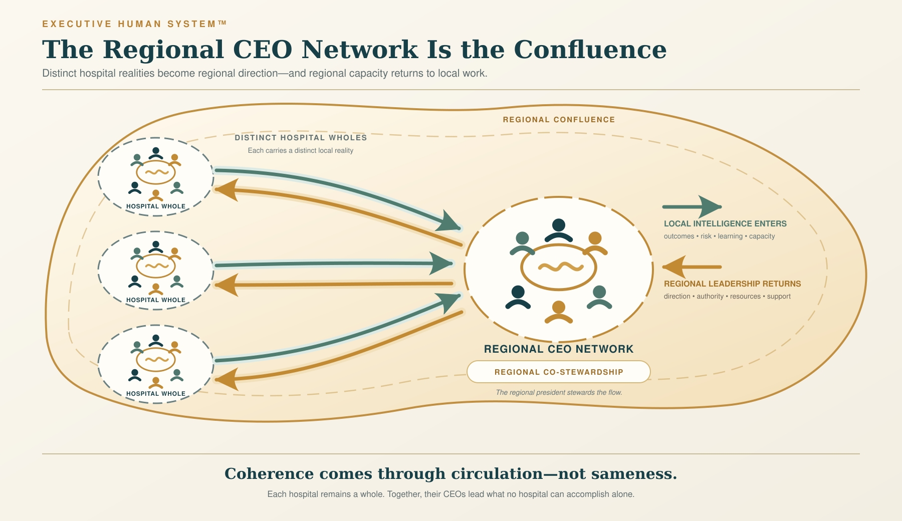 Hospital and market tributaries flowing through a CEO network into regional direction, capacity, and collective stewardship